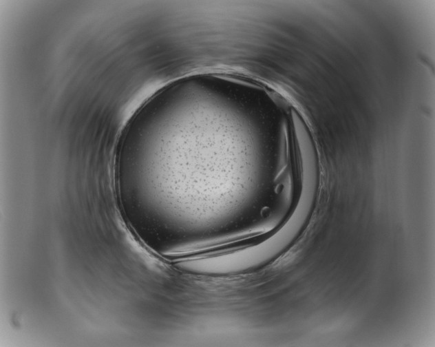 X0000099431054200805231649