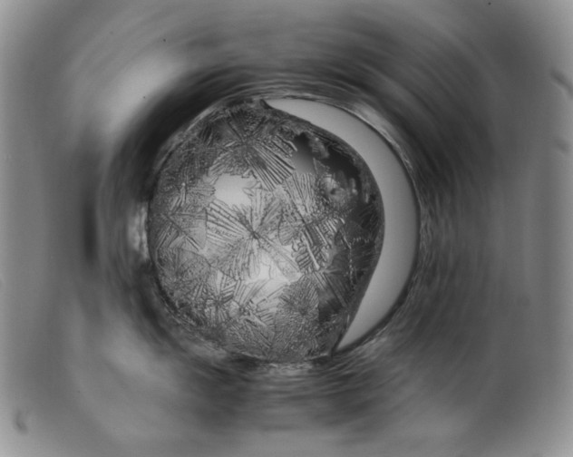 X0000099431055200805231649