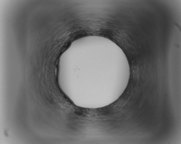 X0000099431057200805231648