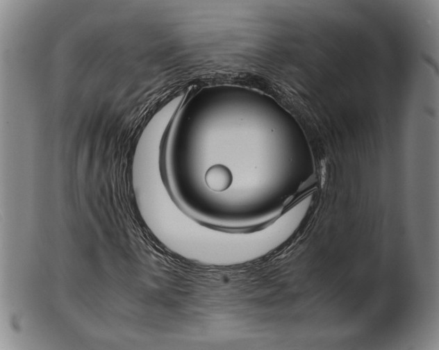 X0000099431059200805231648