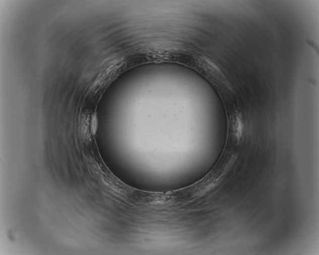 X0000099431060200805231648