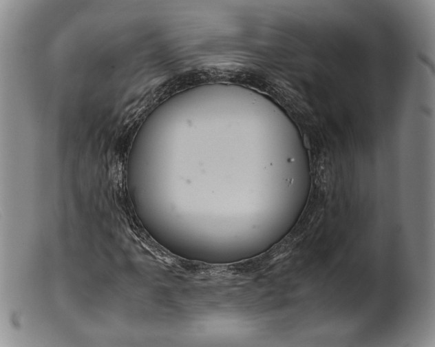 X0000099431061200805231648