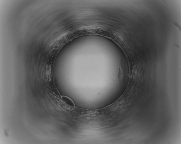 X0000099431062200805231648