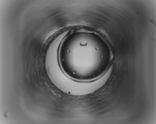 X0000099431064200805231648