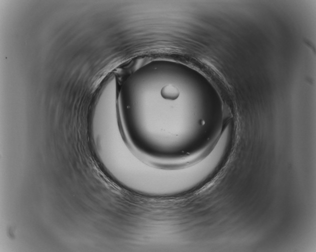 X0000099431065200805231648