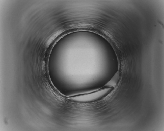 X0000099431066200805231648