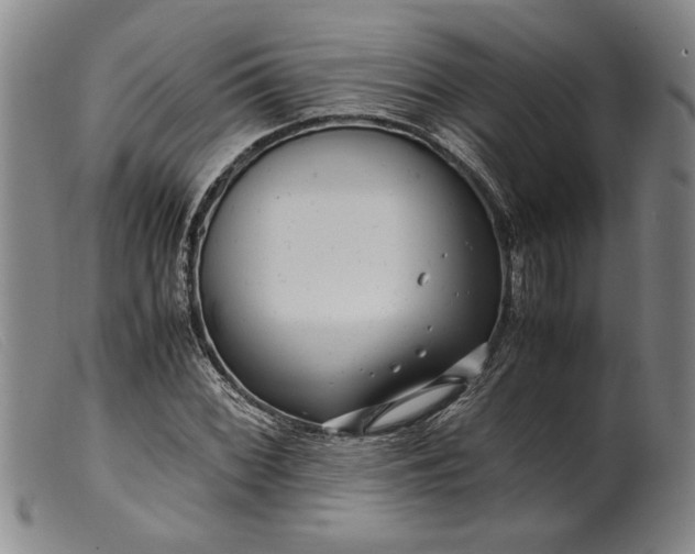 X0000099431068200805231648