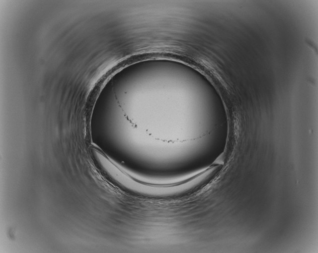 X0000099431069200805231648