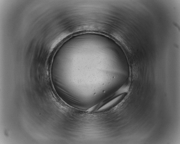 X0000099431070200805231648