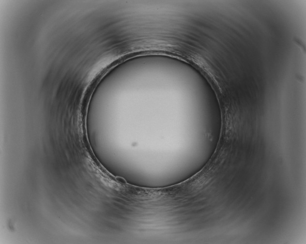 X0000099431072200805231648
