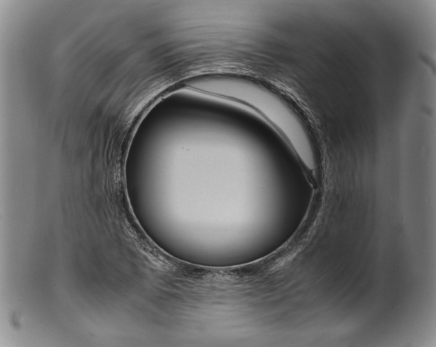 X0000099431073200805231648