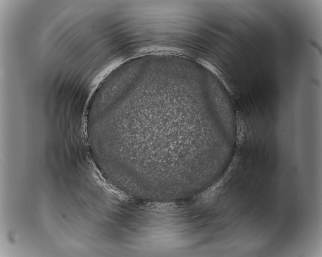X0000099431074200805231648