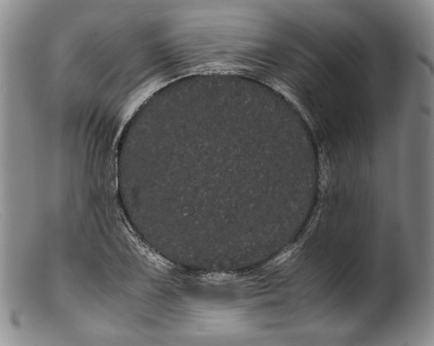 X0000099431075200805231648