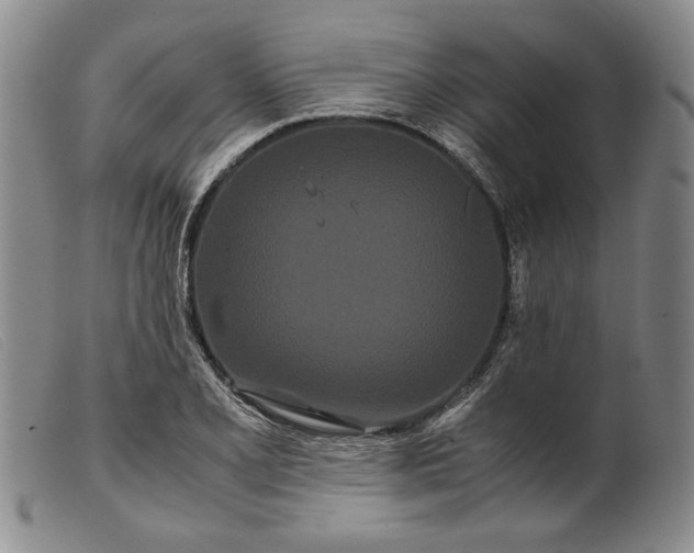 X0000099431077200805231648