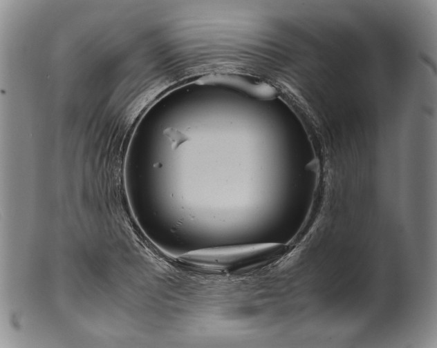 X0000099431081200805231647