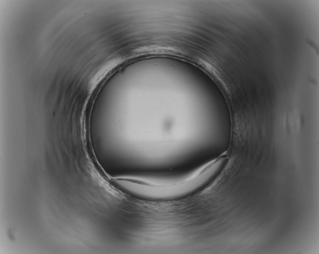 X0000099431082200805231647