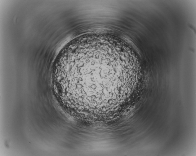 X0000099431083200805231647