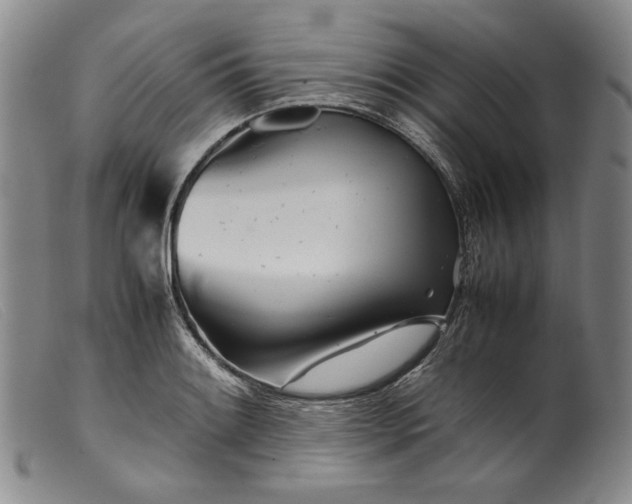 X0000099431084200805231647