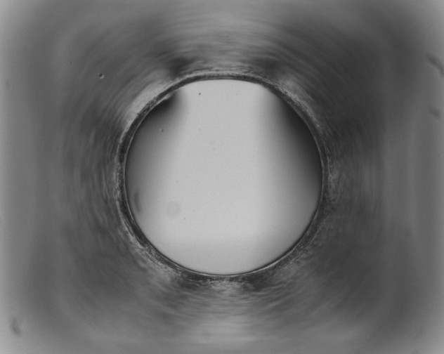 X0000099431085200805231647
