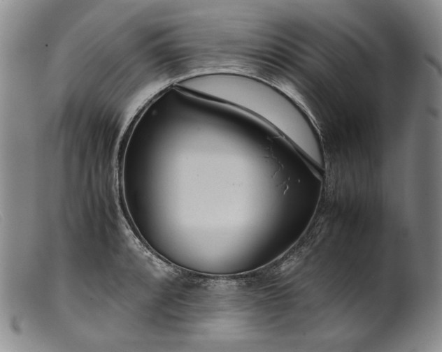 X0000099431088200805231647