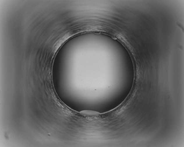 X0000099431089200805231647