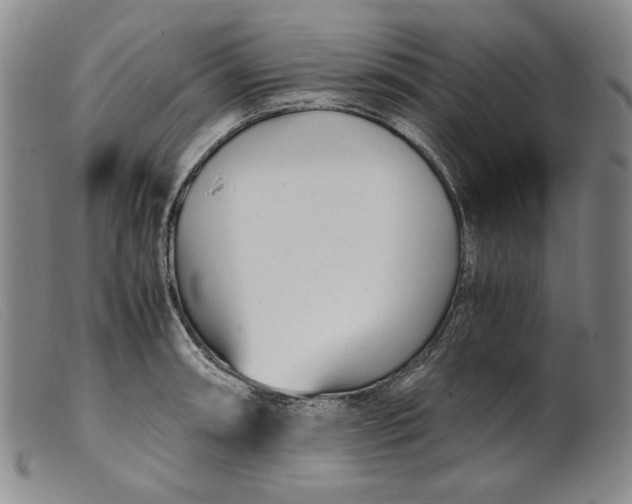 X0000099431090200805231647
