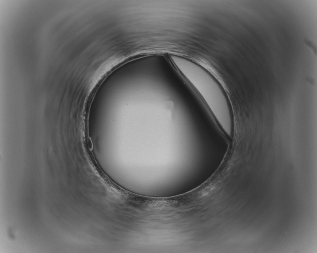 X0000099431093200805231647
