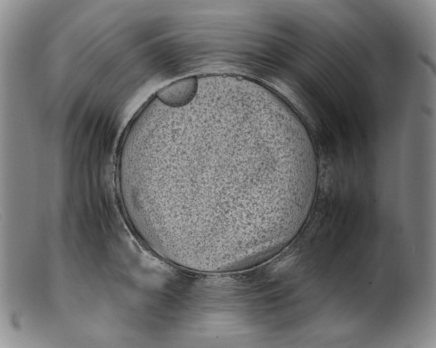 X0000099431094200805231647