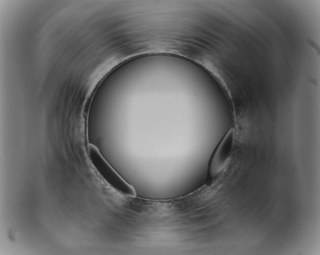 X0000099431096200805231647