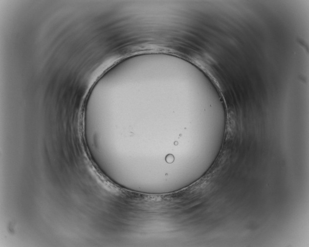 X0000099431098200805231647