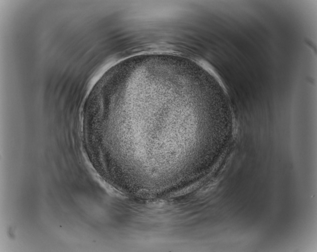 X0000099431099200805231647
