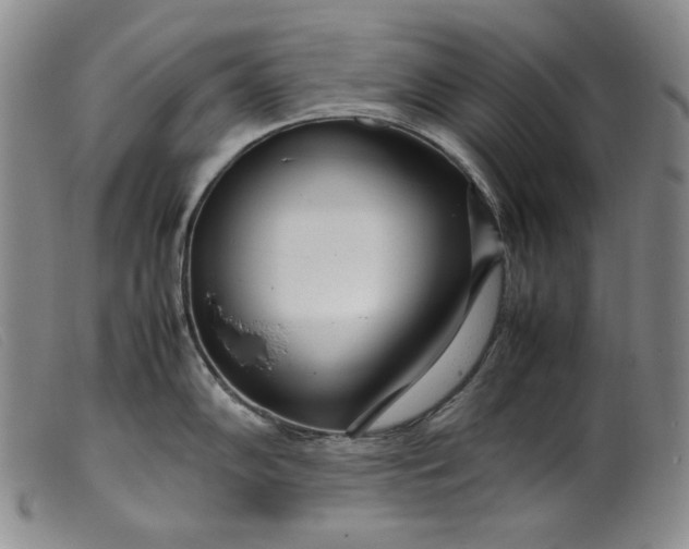X0000099431102200805231647