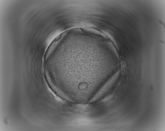 X0000099431103200805231647