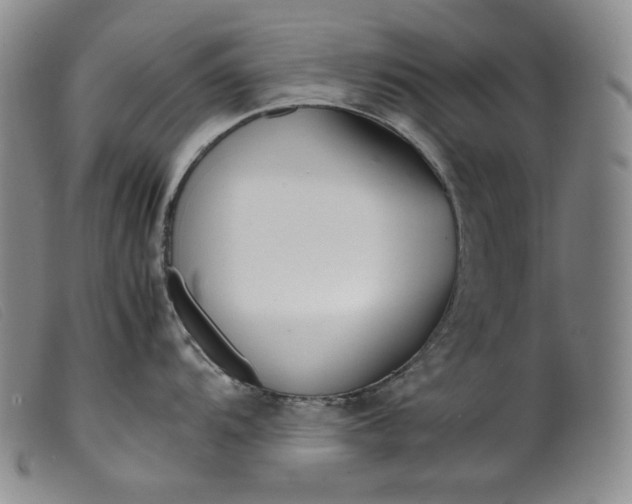 X0000099431104200805231647