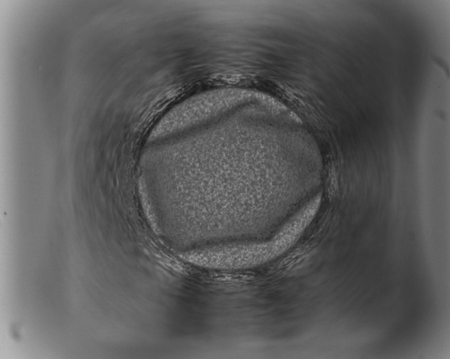 X0000099431105200805231646