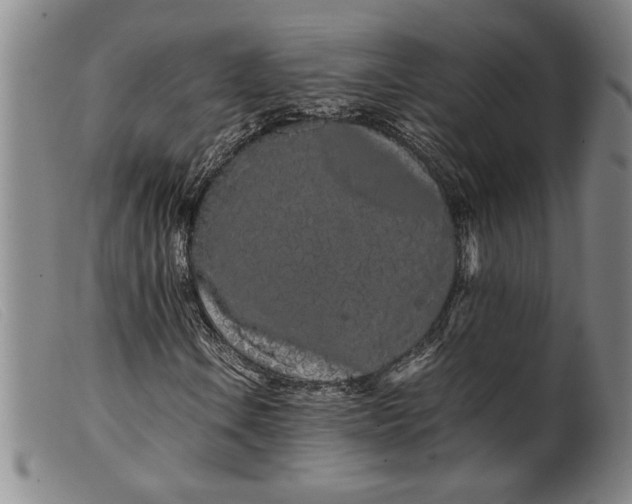 X0000099431106200805231646