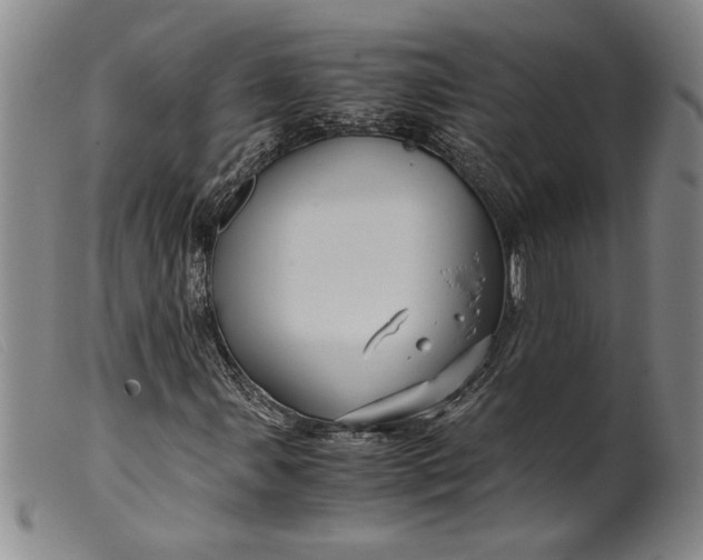 X0000099431107200805231646