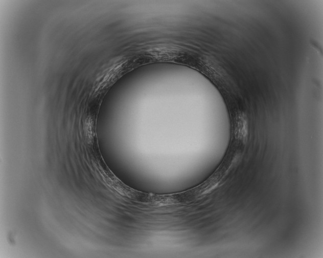 X0000099431108200805231646