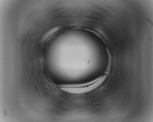X0000099431111200805231647