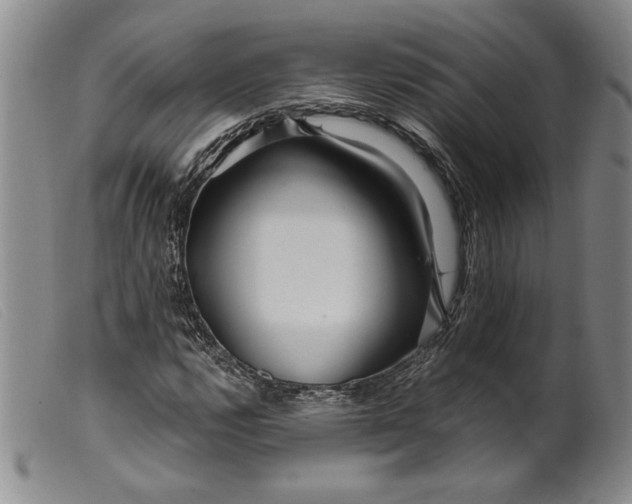 X0000099431112200805231647