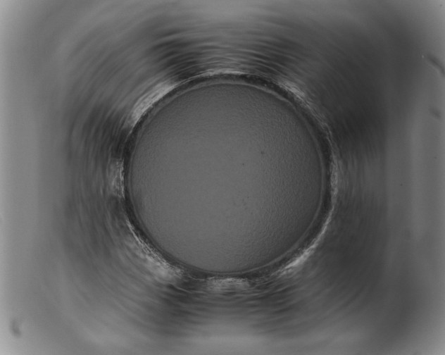 X0000099431113200805231647