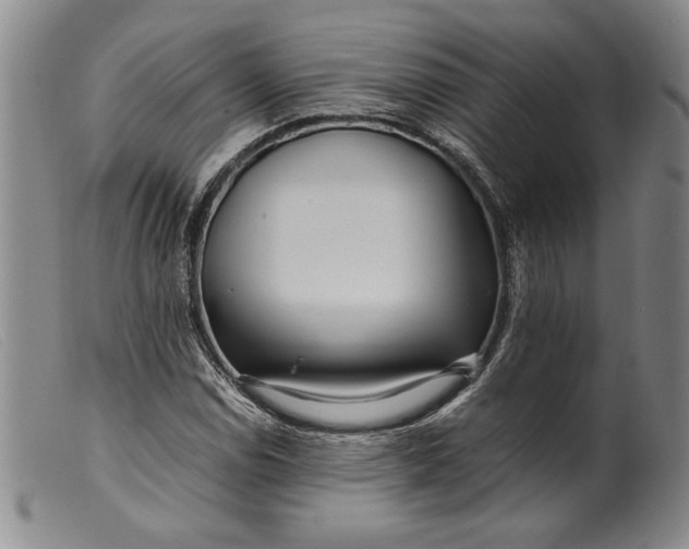 X0000099431114200805231647