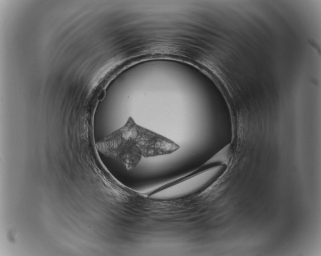 X0000099431115200805231647
