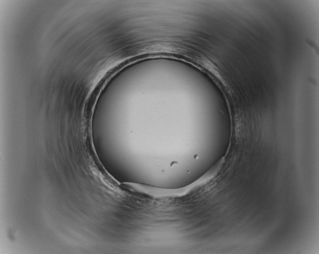 X0000099431116200805231647