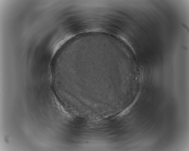X0000099431117200805231647
