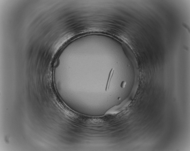 X0000099431119200805231647