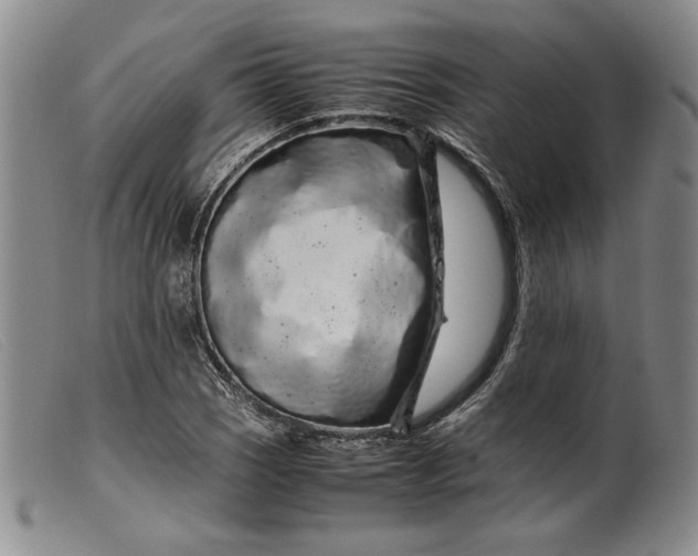 X0000099431121200805231647
