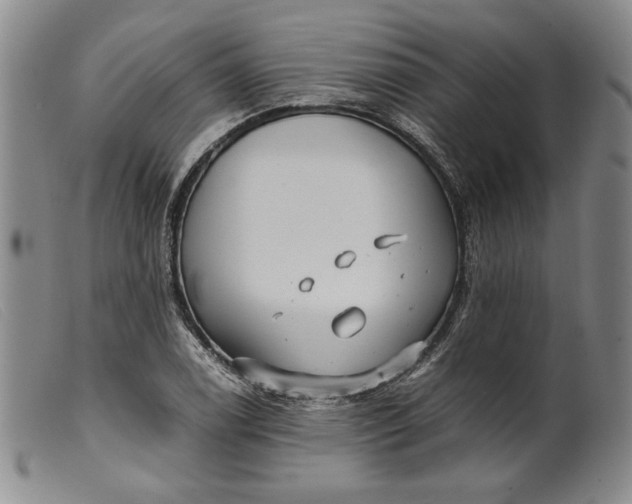 X0000099431122200805231647