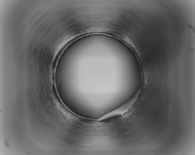 X0000099431124200805231647