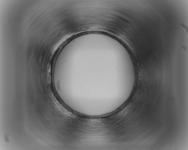 X0000099431126200805231647